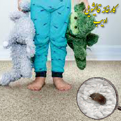 نکات جالبی در مورد آلودگی های خطرناک و پنهان فرش