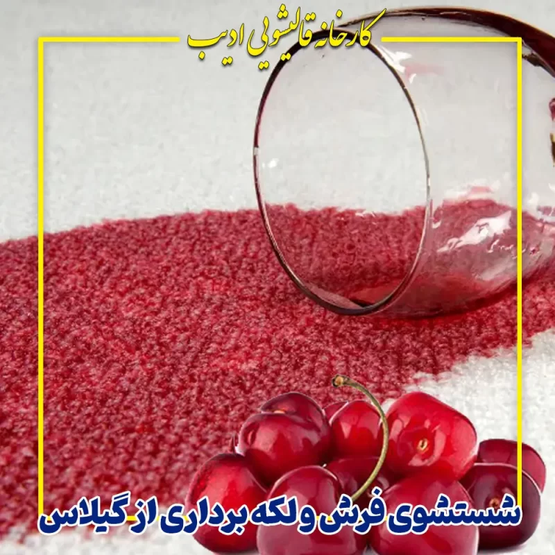 شستشوی فرش و لکه برداری از گیلاس