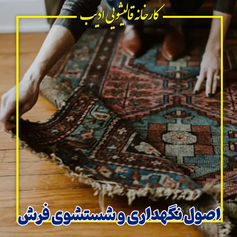 اصول نگهداری و شستشوی فرش