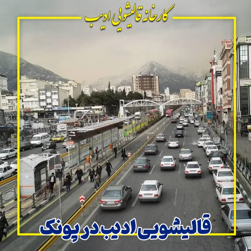 قالیشویی ادیب در پونک