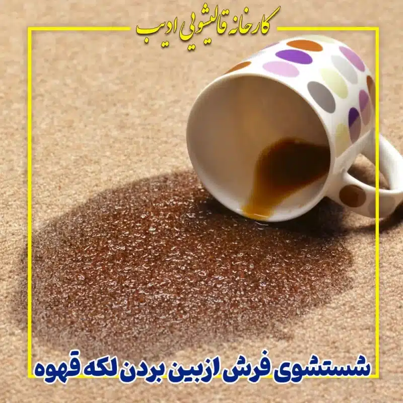شستشوی فرش ازبین بردن لکه قهوه