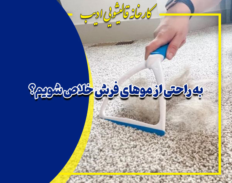 چگونه به راحتی از موهای فرش خلاص شویم؟