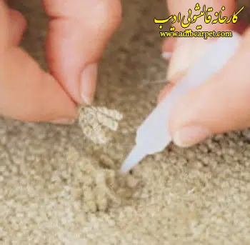 قالیشویی , قالی شویی, قالیشویی آنلاین, قالیشویی تهران , قالیشویی کرج, قالیشویی تبریز, شستشوی فرش, شستشوی مبل, خشکشویی مبلمان, اعلاشویی