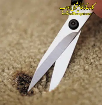قالیشویی , قالی شویی, قالیشویی آنلاین, قالیشویی تهران , قالیشویی کرج, قالیشویی تبریز, شستشوی فرش, شستشوی مبل, خشکشویی مبلمان, اعلاشویی
