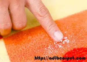 قالیشویی,قالی شویی,قالیشویی آنلاین,اعلاشویی,قالیشویی تهران,قالیشویی کرج,قالیشویی تبریز