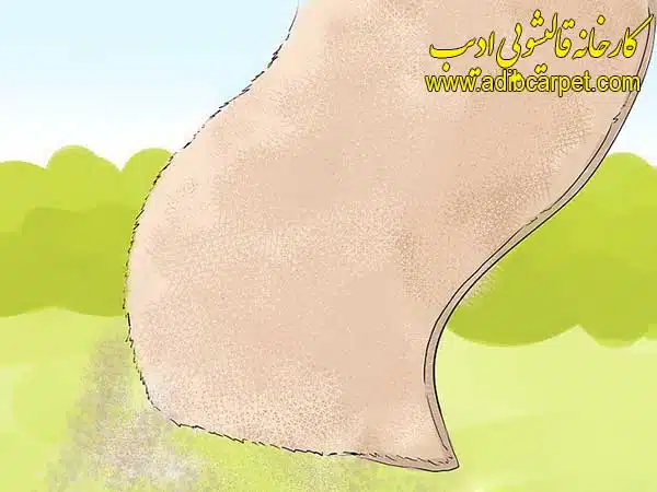 قالیشویی , قالی شویی, قالیشویی آنلاین, قالیشویی تهران , قالیشویی کرج, قالیشویی تبریز, شستشوی فرش, شستشوی مبل, خشکشویی مبلمان, اعلاشویی