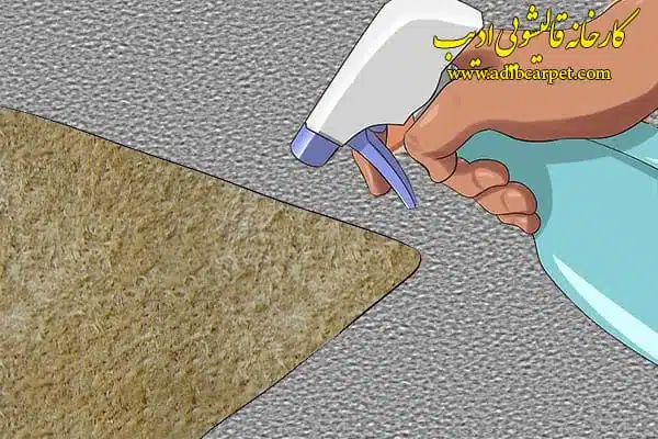 قالیشویی , قالی شویی, قالیشویی آنلاین, قالیشویی تهران , قالیشویی کرج, قالیشویی تبریز, شستشوی فرش, شستشوی مبل, خشکشویی مبلمان, اعلاشویی
