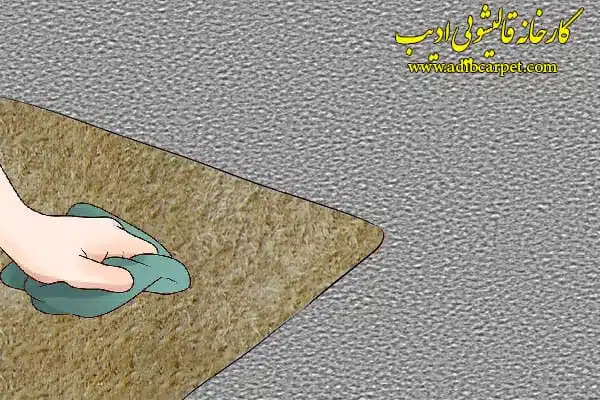 قالیشویی , قالی شویی, قالیشویی آنلاین, قالیشویی تهران , قالیشویی کرج, قالیشویی تبریز, شستشوی فرش, شستشوی مبل, خشکشویی مبلمان, اعلاشویی