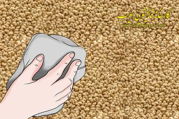 قالیشویی , قالی شویی, قالیشویی آنلاین, قالیشویی تهران , قالیشویی کرج, قالیشویی تبریز, شستشوی فرش, شستشوی مبل, خشکشویی مبلمان, اعلاشویی