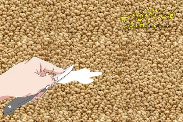 قالیشویی , قالی شویی, قالیشویی آنلاین, قالیشویی تهران , قالیشویی کرج, قالیشویی تبریز, شستشوی فرش, شستشوی مبل, خشکشویی مبلمان, اعلاشویی