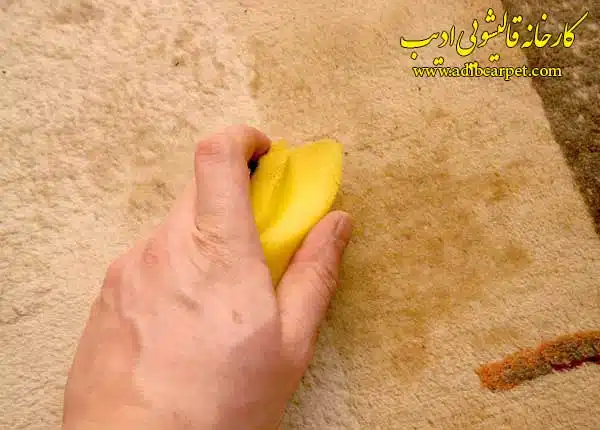 قالیشویی و نحوه حذف رنگ مو