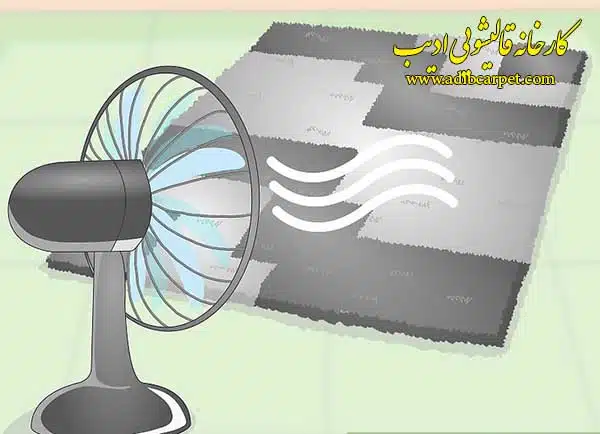 قالیشویی , قالی شویی, قالیشویی آنلاین, قالیشویی تهران , قالیشویی کرج, قالیشویی تبریز, شستشوی فرش, شستشوی مبل, خشکشویی مبلمان, اعلاشویی