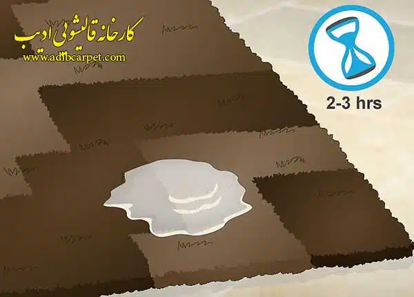 قالیشویی , قالی شویی, قالیشویی آنلاین, قالیشویی تهران , قالیشویی کرج, قالیشویی تبریز, شستشوی فرش, شستشوی مبل, خشکشویی مبلمان, اعلاشویی