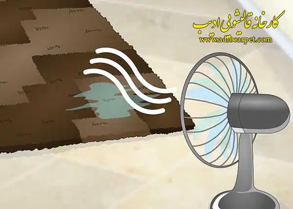 قالیشویی , قالی شویی, قالیشویی آنلاین, قالیشویی تهران , قالیشویی کرج, قالیشویی تبریز, شستشوی فرش, شستشوی مبل, خشکشویی مبلمان, اعلاشویی
