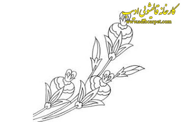 نقاشی گل لاله شاه عباسی