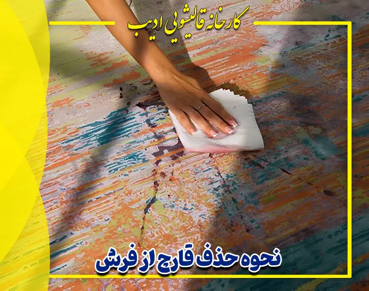 نشانه هایی که فرش شما قارچ دارد