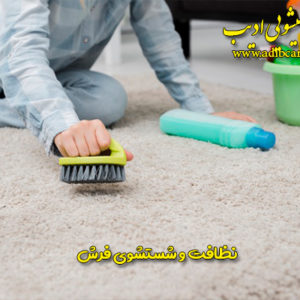 نظافت و شستشوی فرش