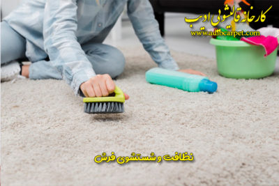 نظافت و شستشوی فرش