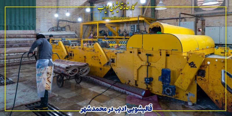 قالیشویی ادیب در محمدشهر