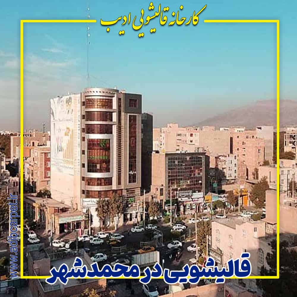 قالیشویی ادیب در محمدشهر