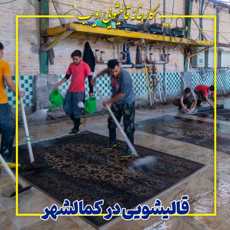 قالیشویی ادیب در کمالشهر