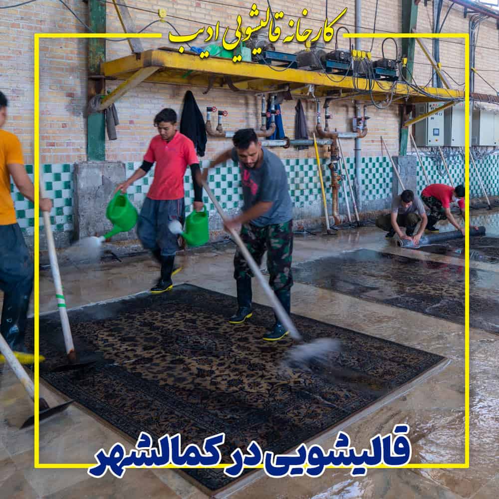 قالیشویی ادیب در کمالشهر