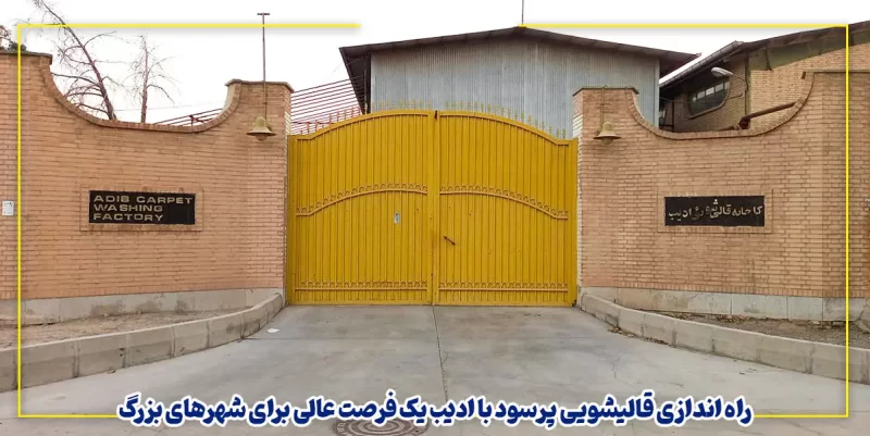 راه‌اندازی قالیشویی پرسود