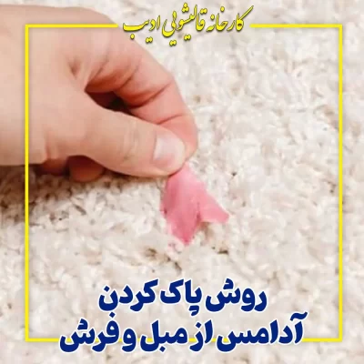 روش پاک کردن آدامس از مبل و فرش