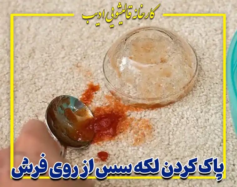 پاک کردن لکه سس از روی فرش
