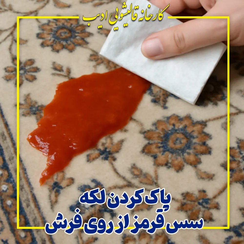 پاک کردن لکه سس قرمز از روی فرش