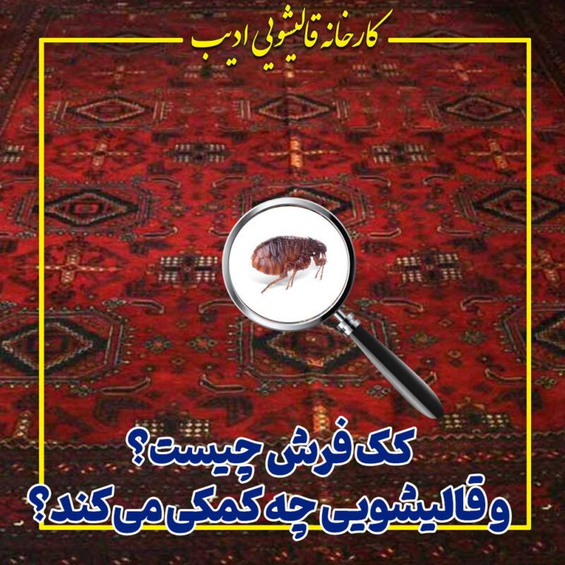 کک فرش چیست و قالیشویی چه کمکی می‌کند؟