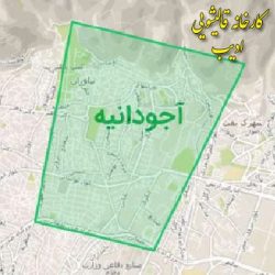 قالیشویی ادیب در آجودانیه