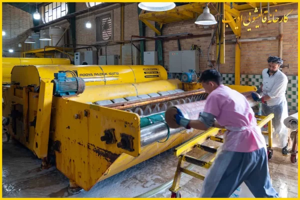 کارخانه قالیشویی مدرن ادیب